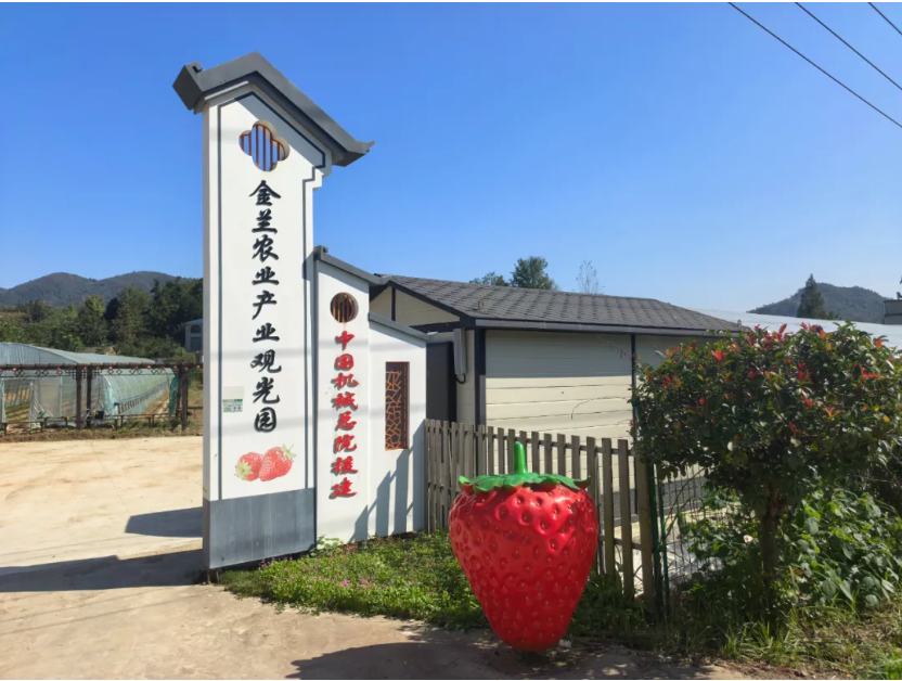 科技點(diǎn)亮農(nóng)業(yè)，云飛科技助力金蘭產(chǎn)業(yè)園溫室大棚智慧化改造